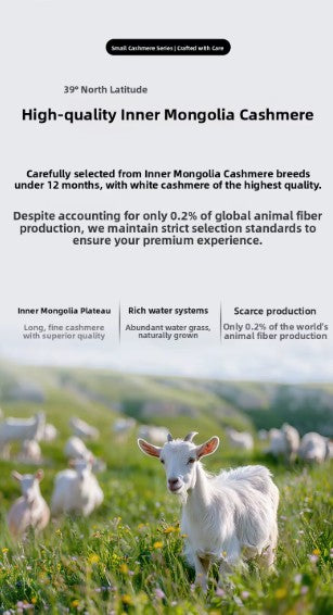 100% Cashmere Sweater