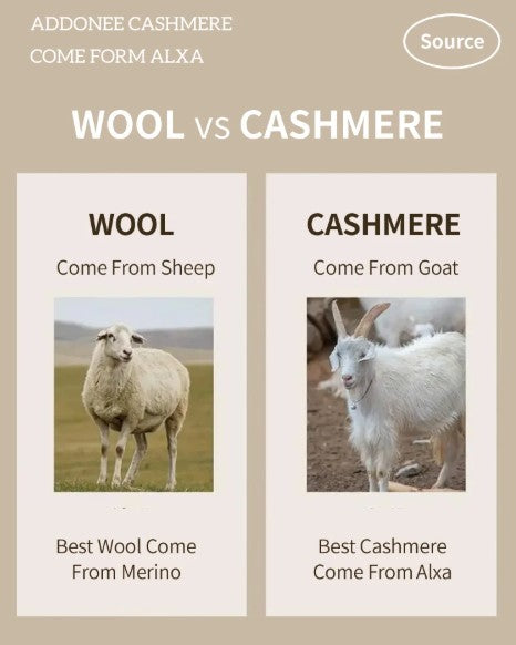 100% Cashmere Sweater